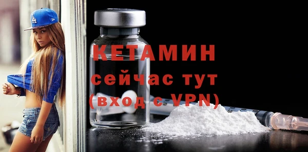 индика Богданович