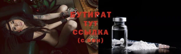 индика Богданович