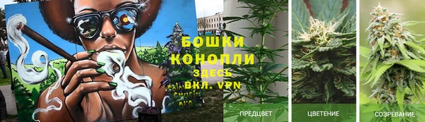 дживик Тавда