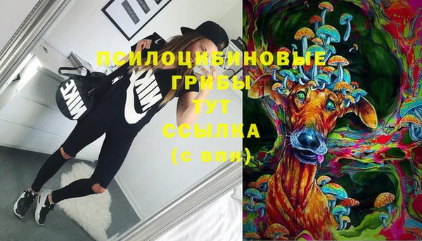a pvp Сясьстрой