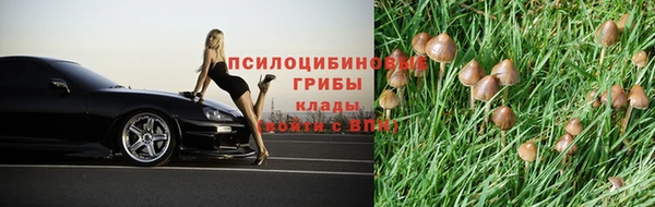 a pvp Сясьстрой