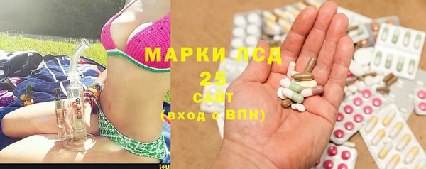 сатива Бугульма