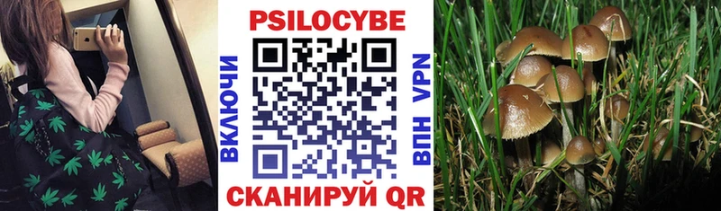 Галлюциногенные грибы прущие грибы  что такое   Киселёвск 